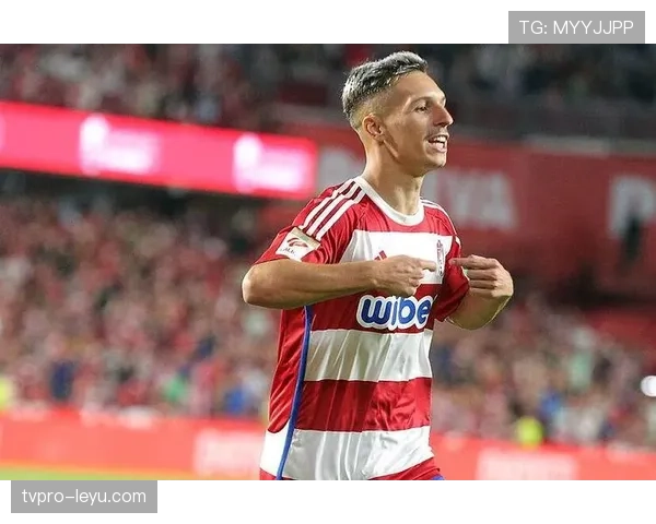 德甲豪门转会再掀热潮，新星加盟引发广泛关注