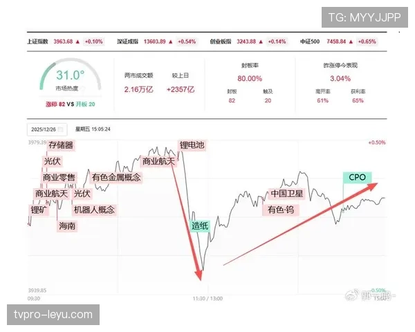 雷吉纳2023年数据分析揭示新趋势：高增长行业涌现，投资机遇凸显
