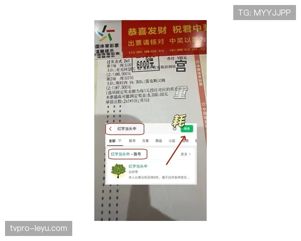 专家解析最新赛事预测：关键因素揭示赛季走势引关注