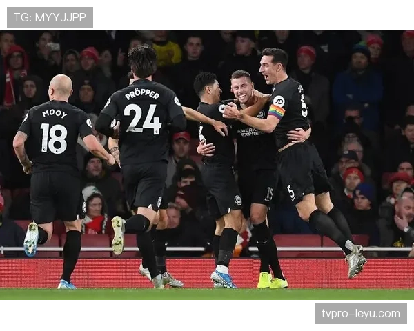 英超：亚当·韦伯斯特逐渐成为球队后防核心，表现稳健引发关注