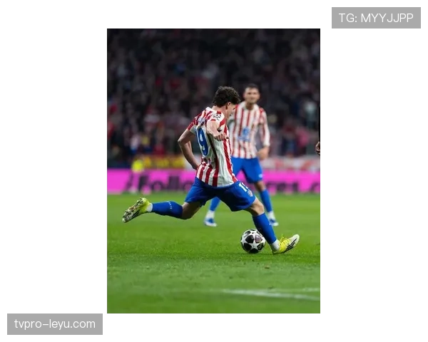 阿尔瓦雷斯世界杯进球